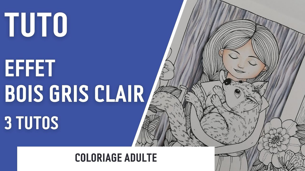 TUTO | Bois gris clair - 3 tutos par gamme (Imaginor, Polychromos et Drawing)