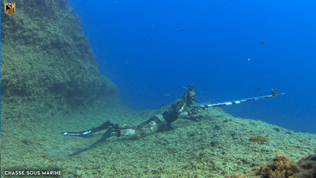 CHASSE SOUS MARINE BEST SHOT SPEARFISHING 2026