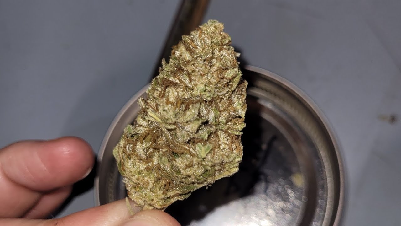 Final Outdoor Grow Update 2022