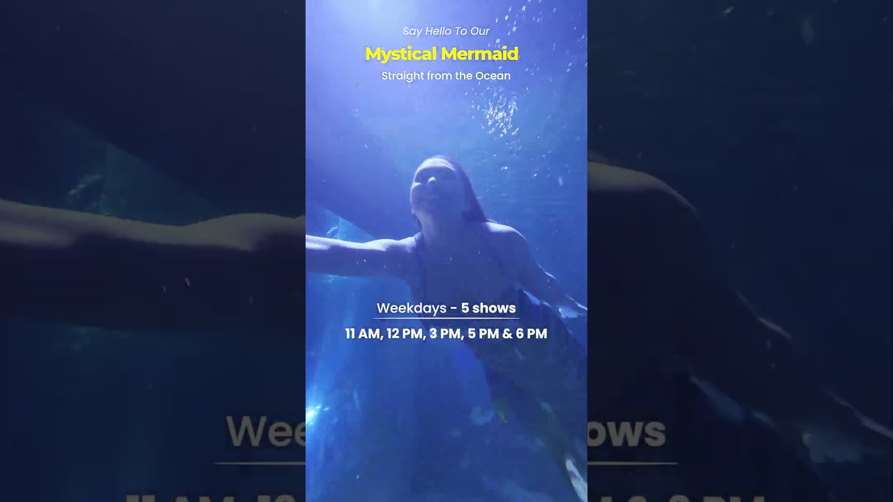 Meet a Real Mermaid in Chennai! 🧜🏻‍♀️ | August 15th @ VGP Marine Kingdom