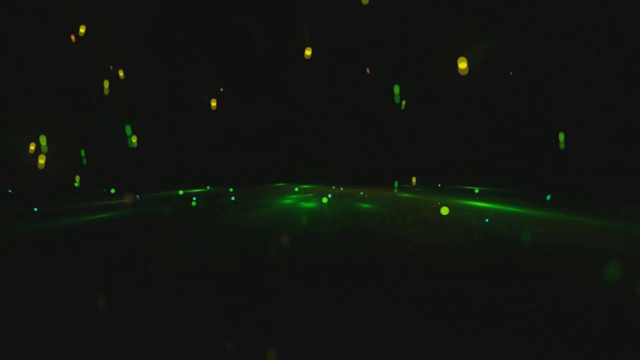 Beyonce - Single Ladies - Run The World  Instrumental Backdrop