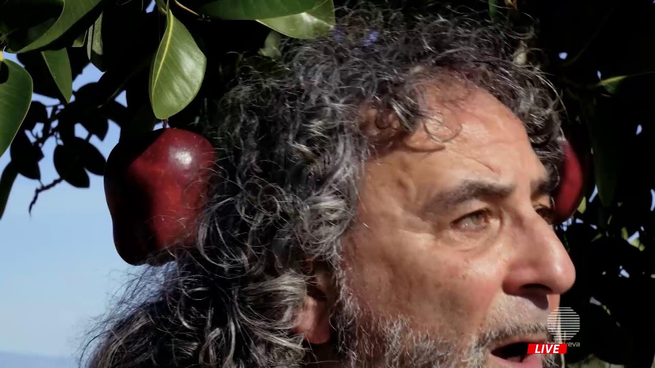 #TELESVEVANOTIZIE Edizione della sera