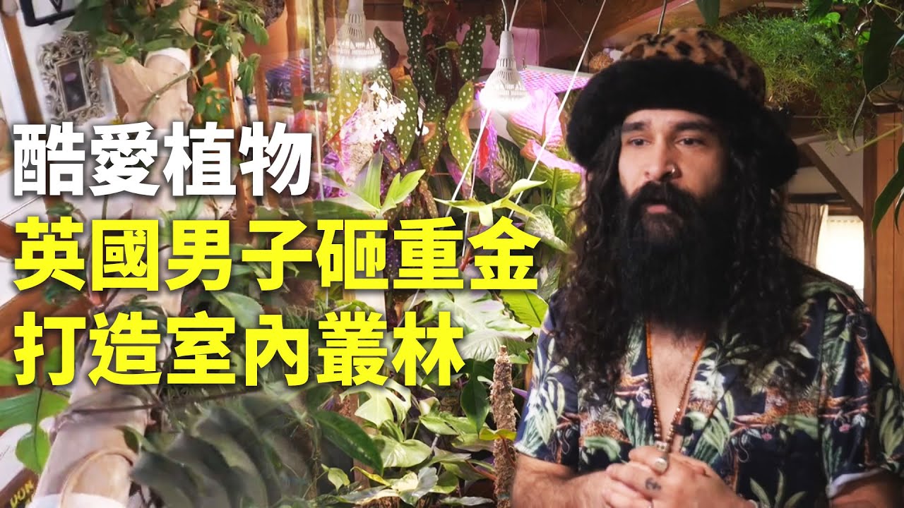 酷愛植物 英國男子砸重金打造室內叢林 - 園藝設計 - 國際新聞
