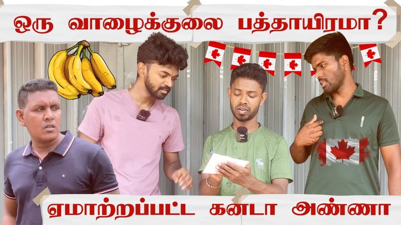 யாழில் வாழைக்குலை பத்தாயிரமா? | Canada Mama | Sri Lanka Tamil Comedy | Pakidiya Kathaippam 2024