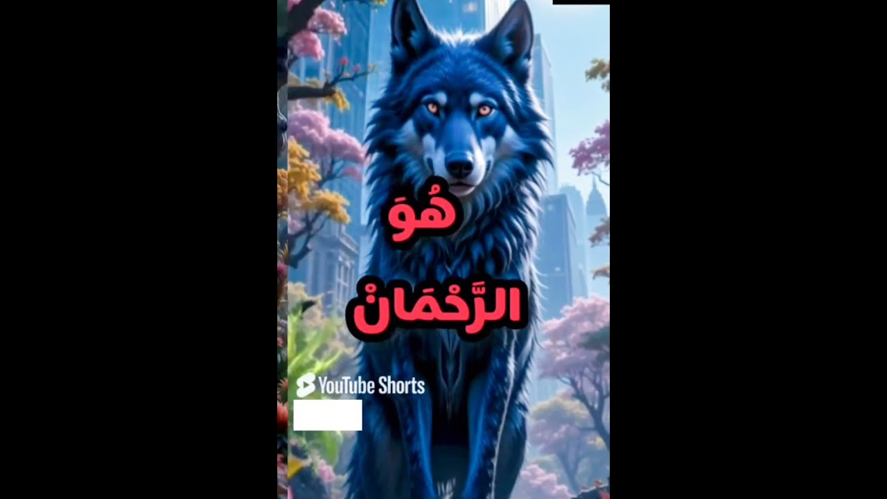 فديوت (سألت) كملت # دروس عن الحياة # و حكمت 