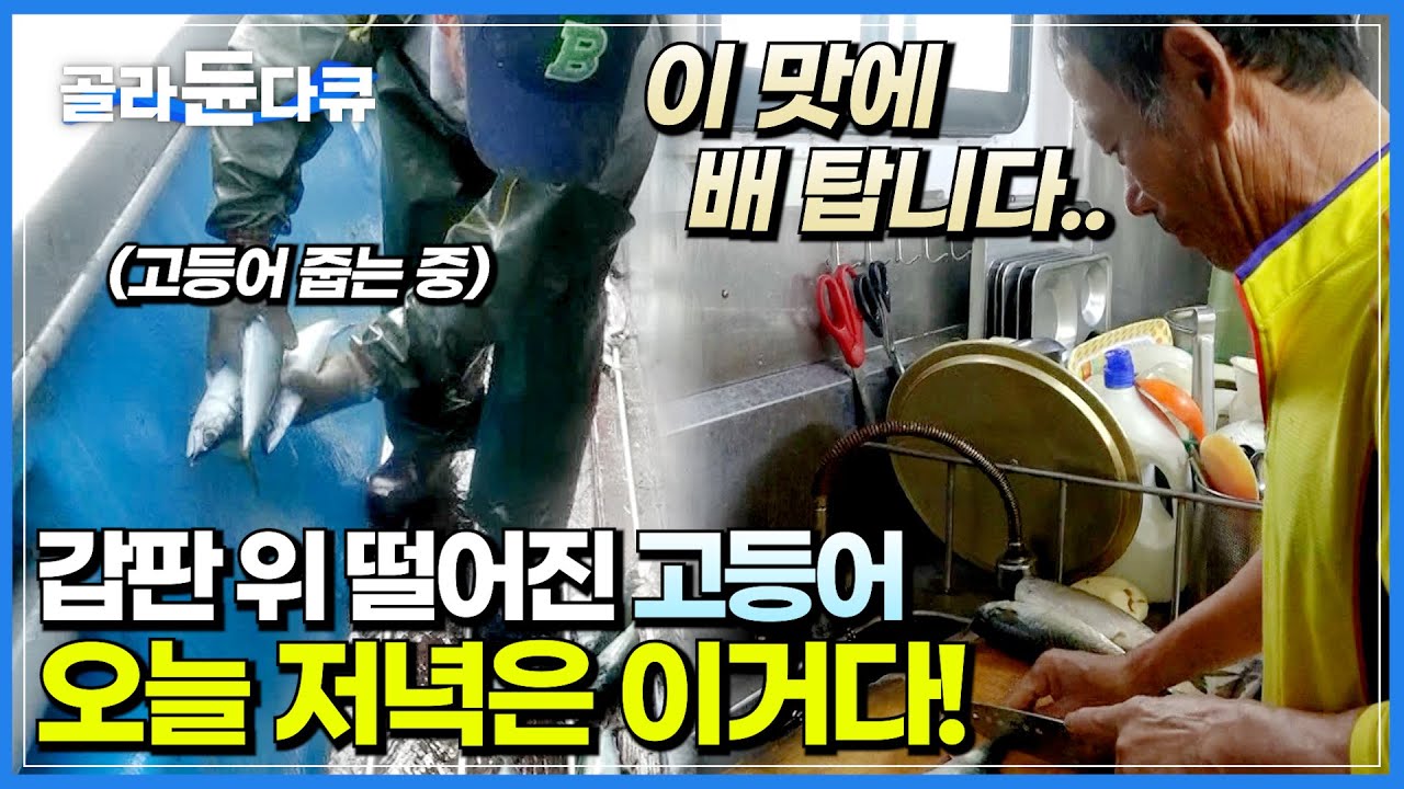 남몰래 배 위에 떨어진 고등어 주워다가 맛있는 한상 후딱 차려내는 야무진 조리장👨‍🍳 │ 힘든 어업 끝내고 먹는 꿀 같은 선상만찬! │ 참조기잡이 │ 극한직업 │ #골라듄다큐