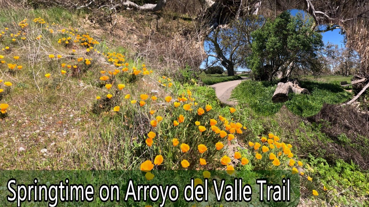 Arroyo del Valle Trail  - Lovely Spring Day Trek  Livermore California