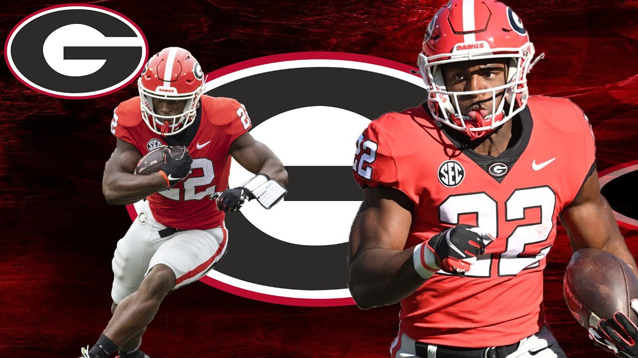 Branson Robinson Highlights || Georgia Bulldogs Highlights || RB || Freshman || 2022 Season