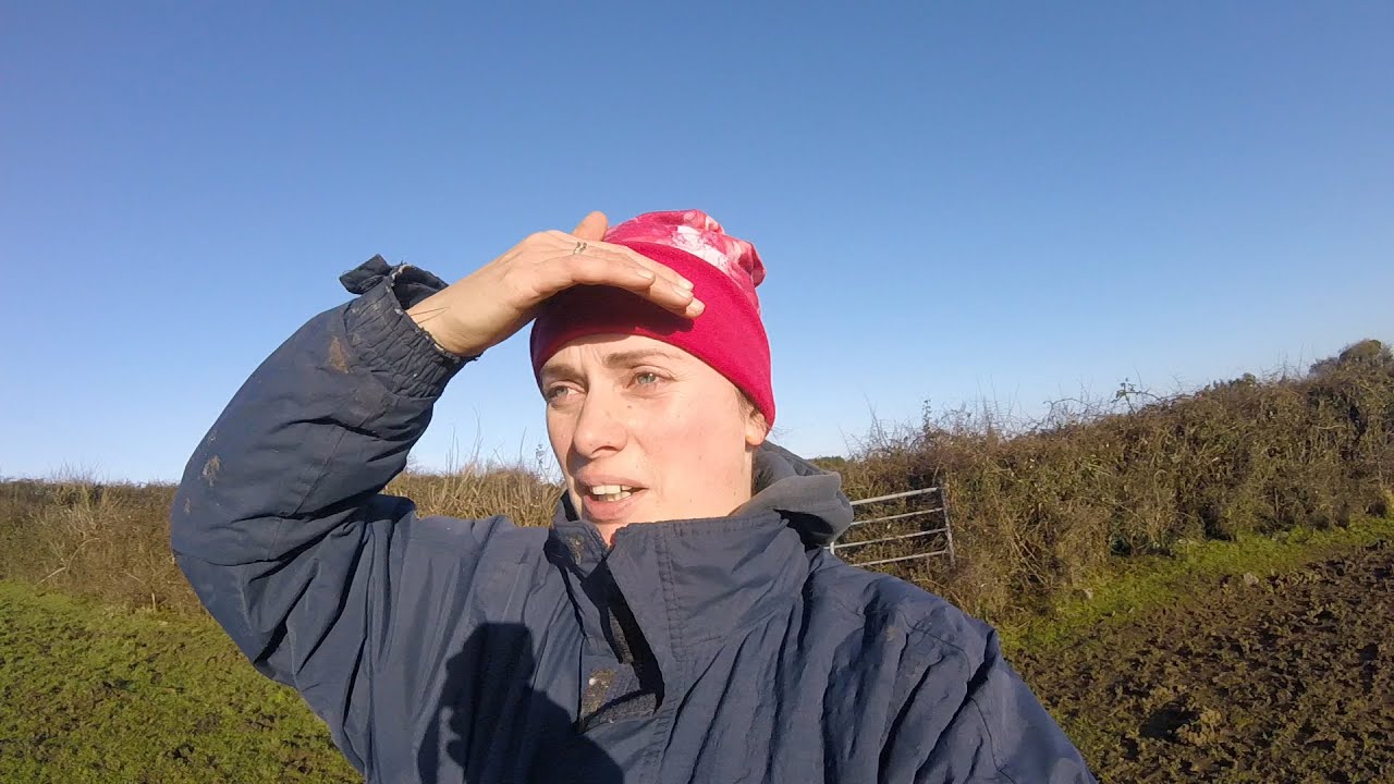 Mud, Machines & Farm Chores | A real, raw vlog of life on my Irish Farm