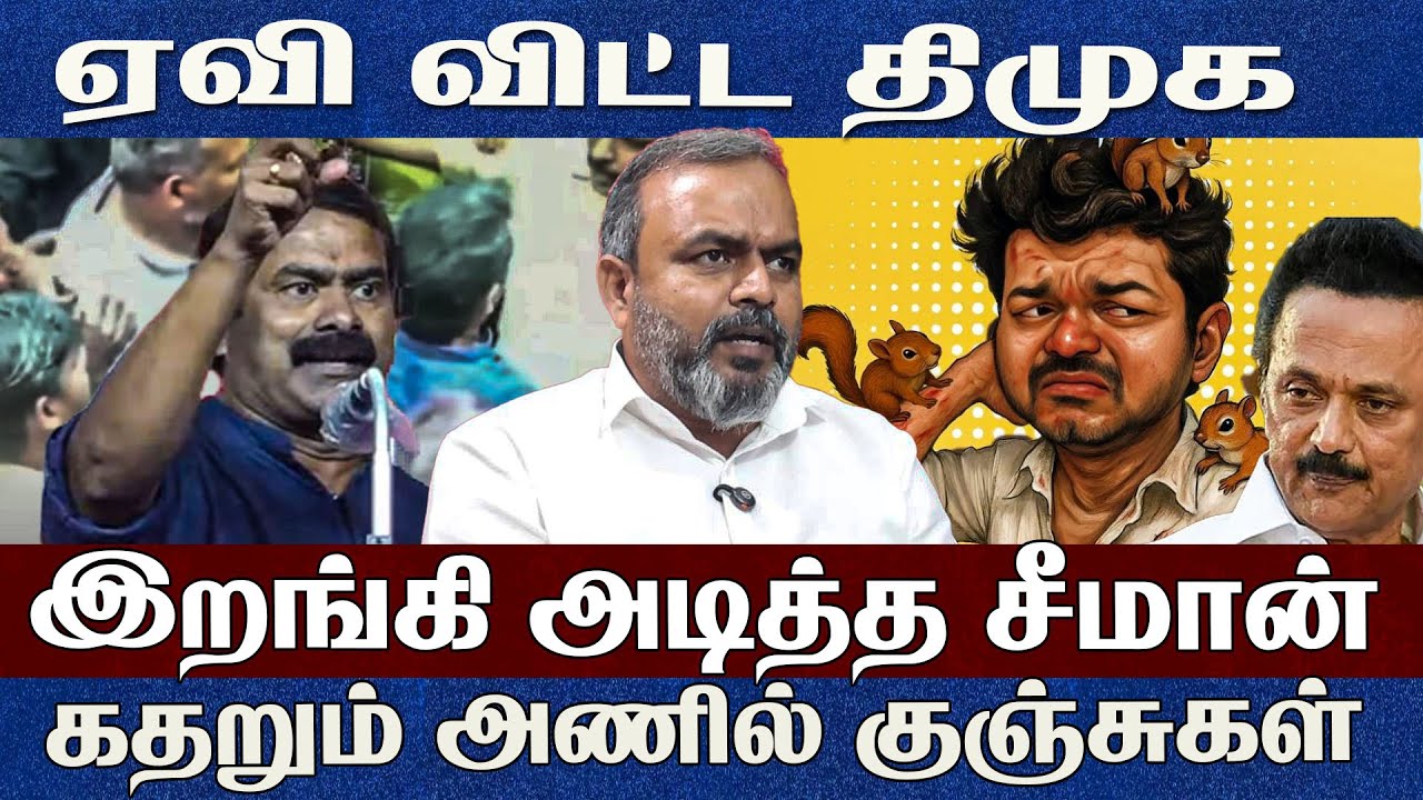 அணில் குஞ்சுகளை கதறவிட்ட சீமான்..செஞ்சியில் நடந்த அதிரடி Ntk Sasikumar Seeman vs Vijay 