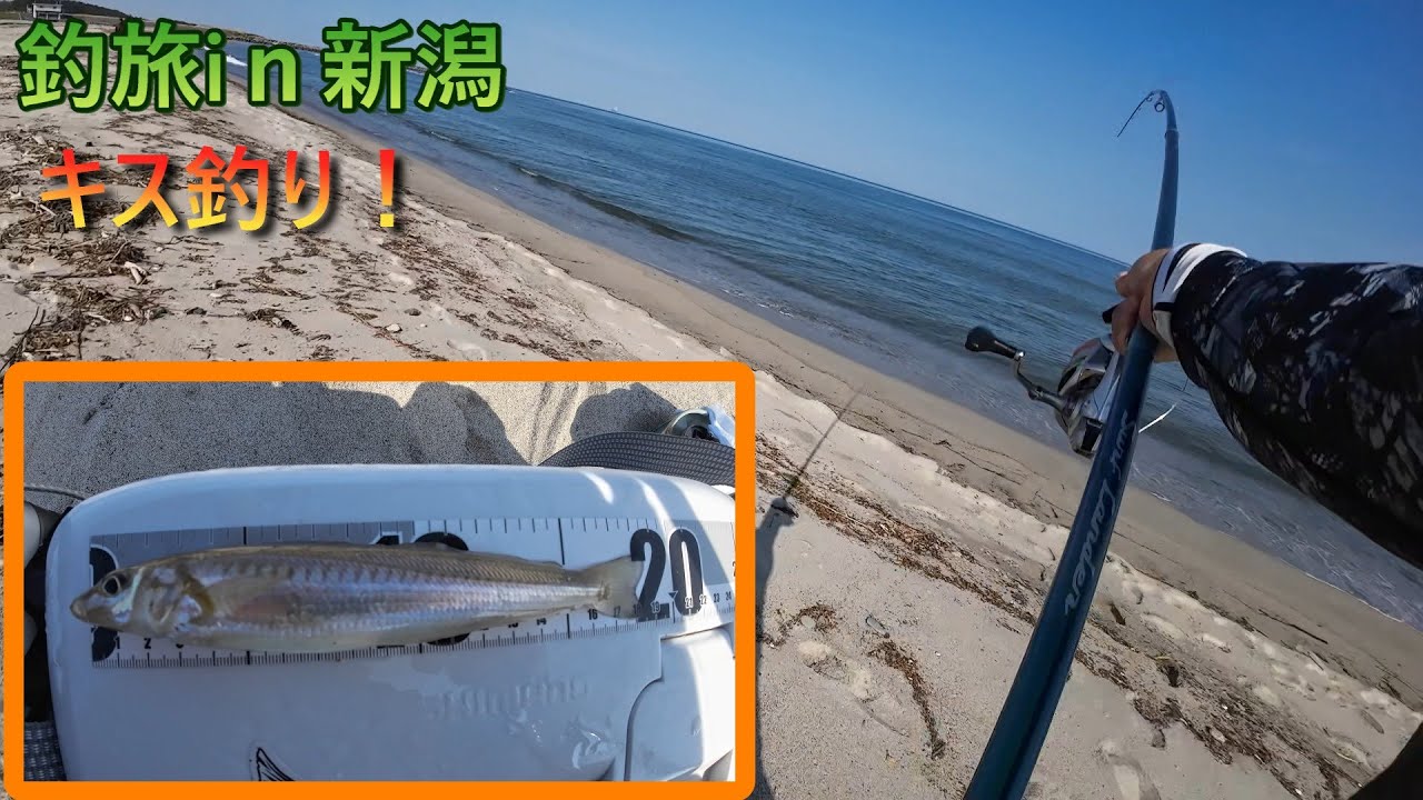 釣旅iｎ新潟　フルキャストで狙う砂浜の女王【キス釣り】