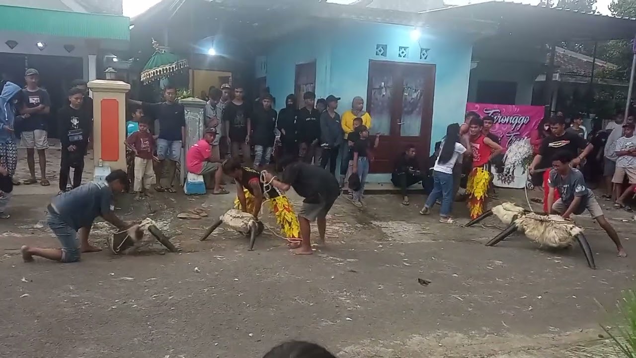bantengan ngamok turonggo Dewi tresno . wwj