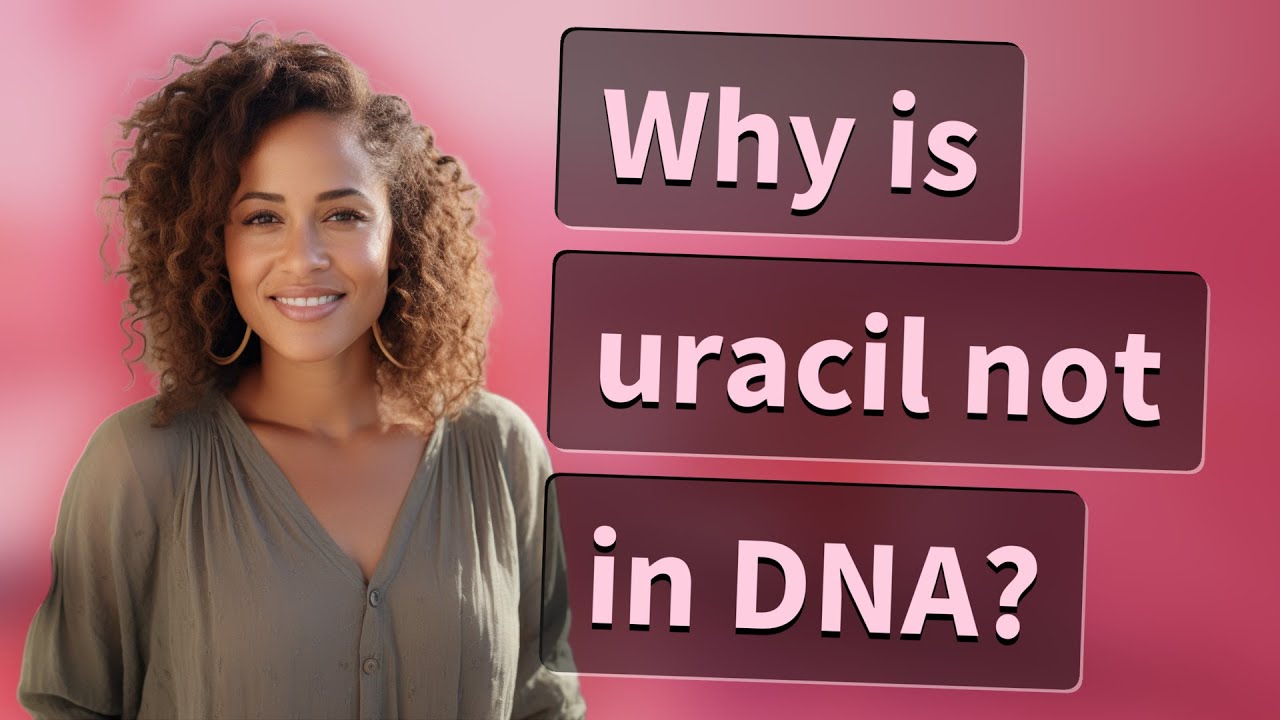 Why is uracil not in DNA?