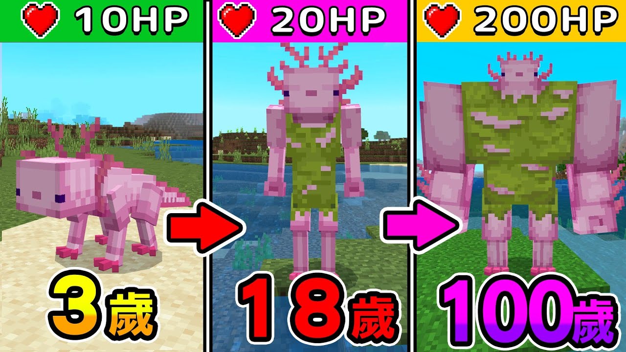 Minecraft 我轉生成會成長的『最強蠑螈』世界生存，獲得特殊能力長大並活下去吧！