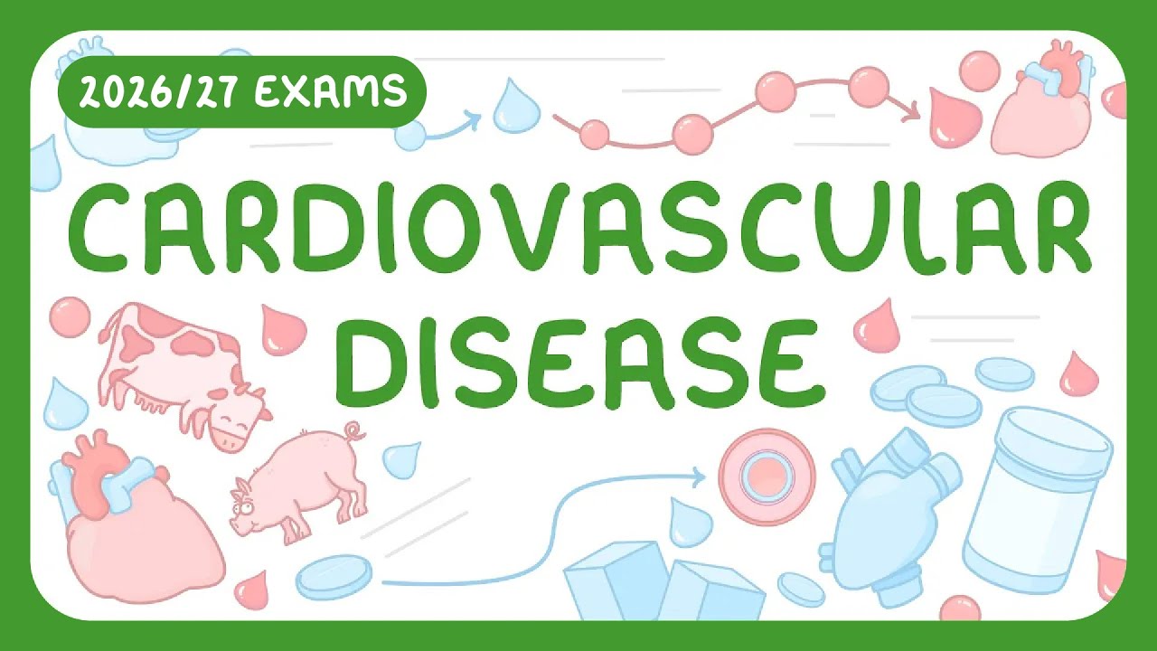 GCSE Biology - Cardiovascular Disease & Treatments (2026/27 exams)