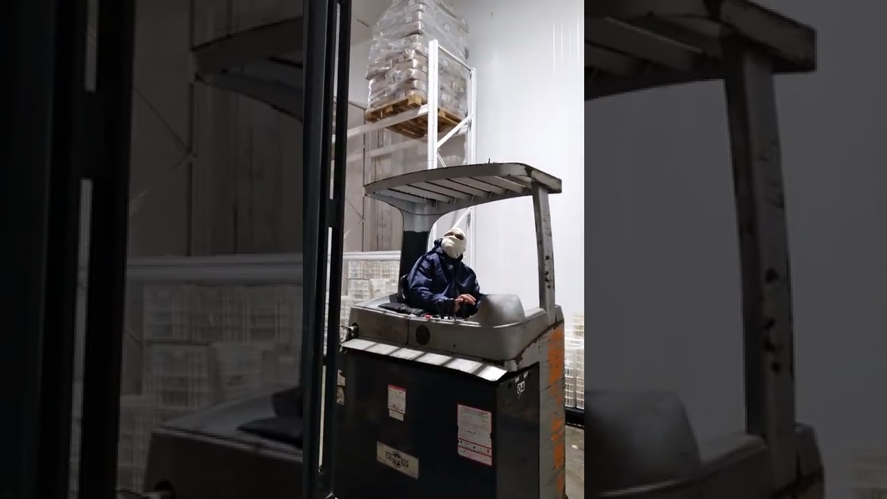 Dia de operação na câmera fria!Operador de empilhadeira com orgulho.