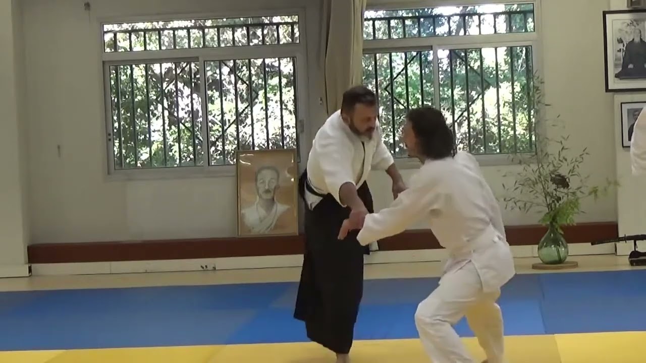 Xavier Dufau Aikido club Auch 10 2019 part 1
