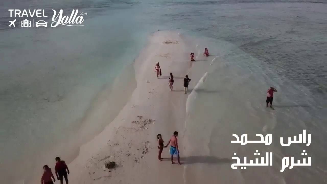 ترافل يلا l محمية رأس محمد فى شرم الشيخ جمال ربانى