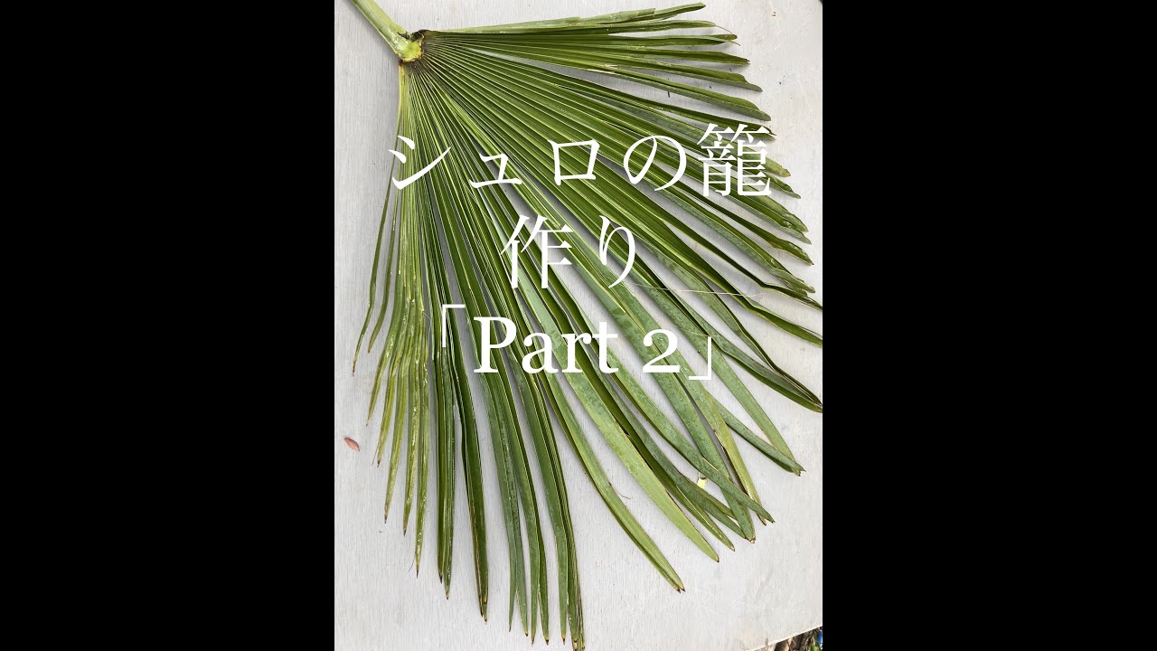 シュロの籠作り「part 2」