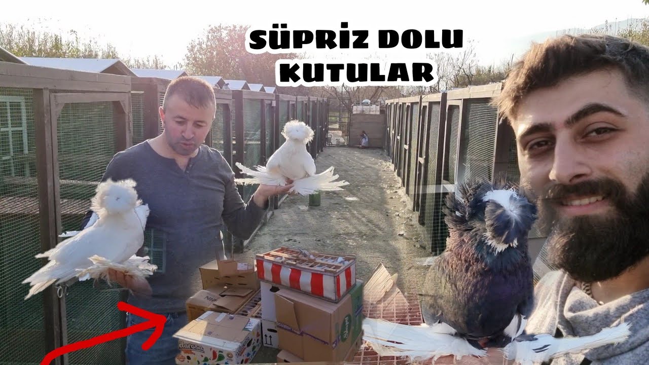 HOBİ BAHÇEMİZDE ÇİÇEKLER AÇTI YİNE  UNUTULMAYACAK KUTU AÇILIMLARINDAN BİRİSİ DAHA