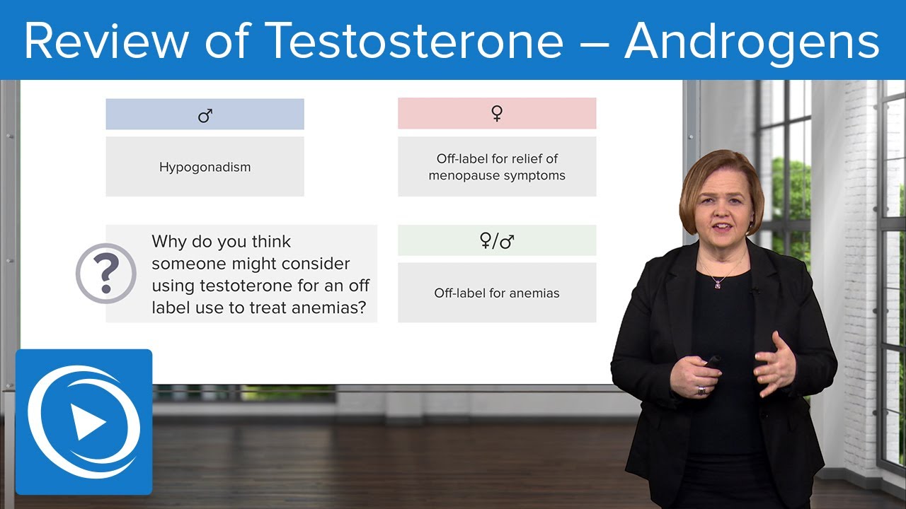 Review of Testosterone &ndash; Androgens &ndash; Pharmacology | Lecturio Nursing