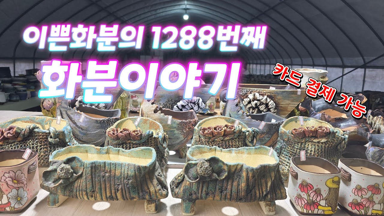 2월 11일 #이쁜화분 1288번째 화분이야기 