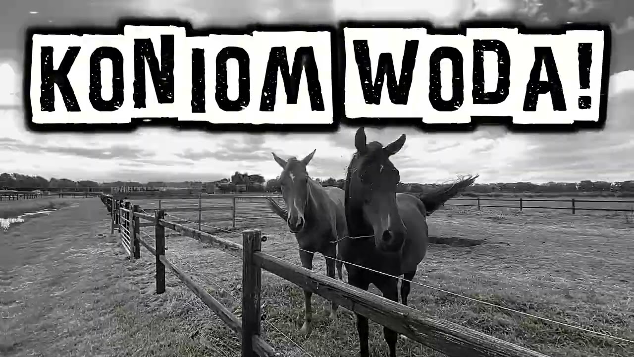 KONIOM WODA! | GOROL Z DOŁU CZYLI CEPERSKI FOLK 2.0 | NEONOWA HALA