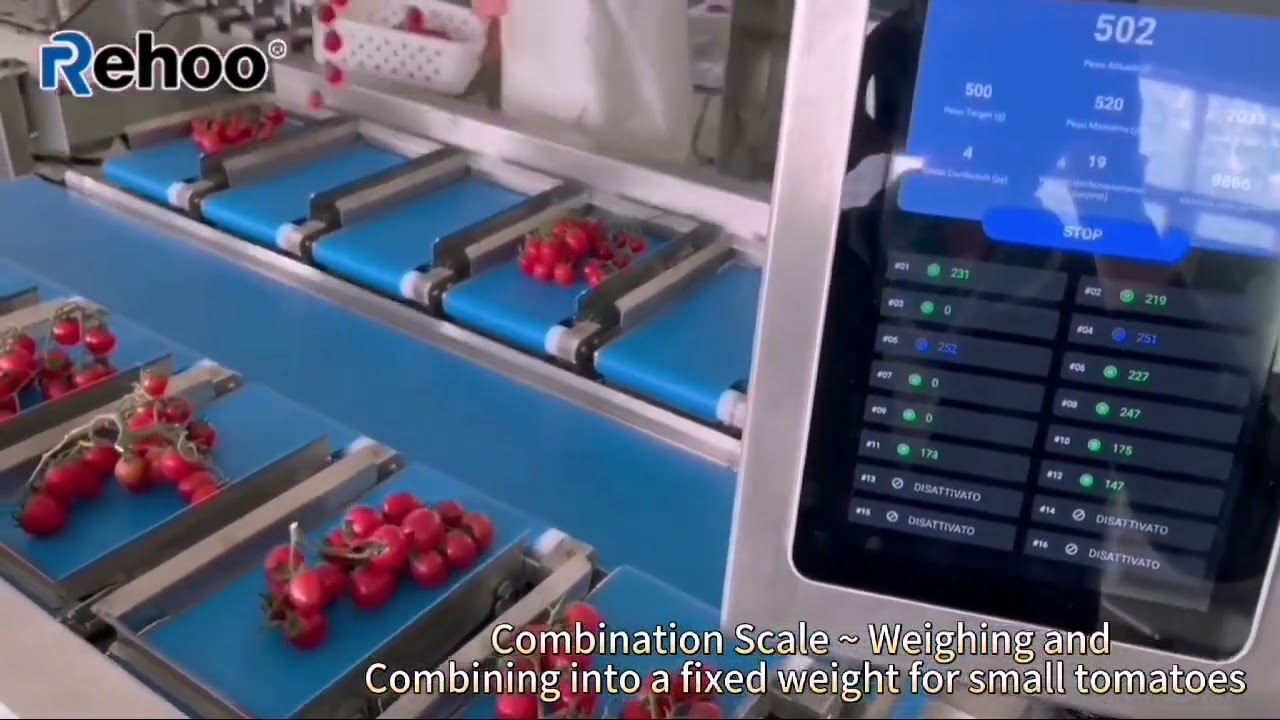 Rehoo combination weigher/scale for cherry tomato
