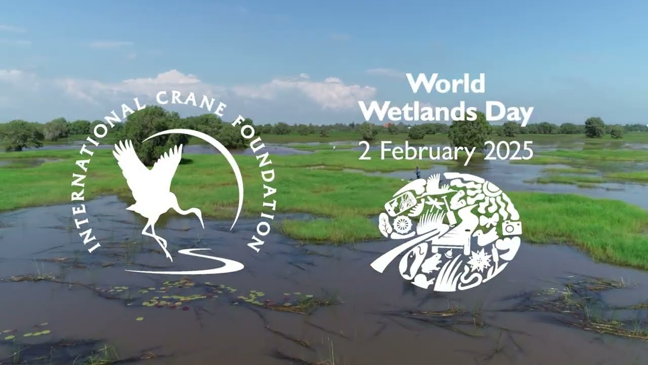 World Wetlands Day 2025