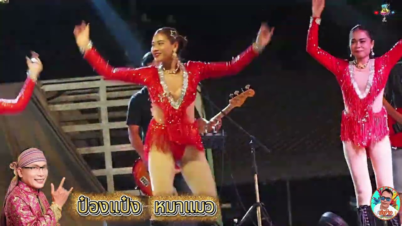 ป๋องแป๋ง หมาแมว งานอุปสมบท วัดหนองจิก(วังดาล)