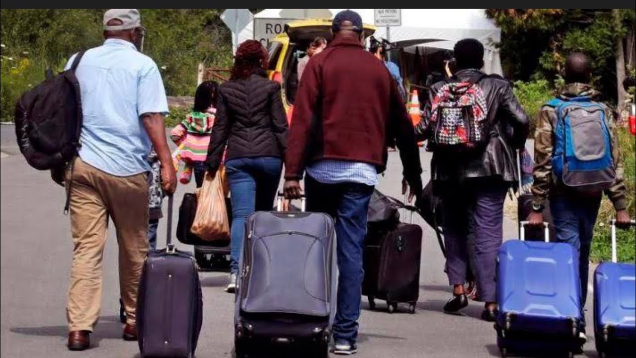 How To Win Your Asylum Claim In Canada! Watch Full Video 