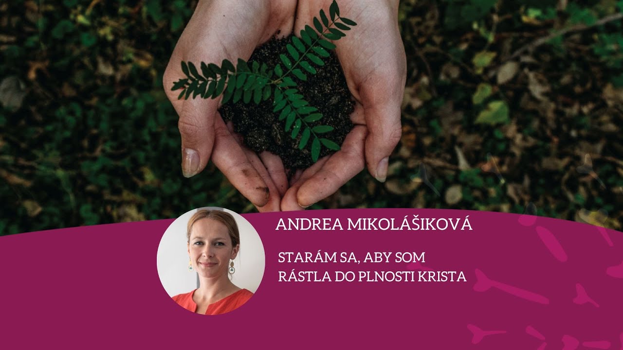 STARÁM SA O PLNOSŤ KRISTA VO MNE. INŠPIROVANÉ EDITOU STEINOVOU.