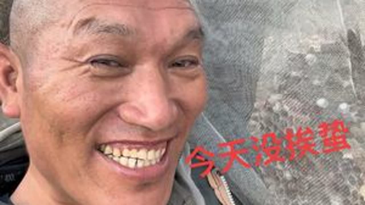 #蜂蛹#杀人蜂#地雷蜂#泡酒的好材料