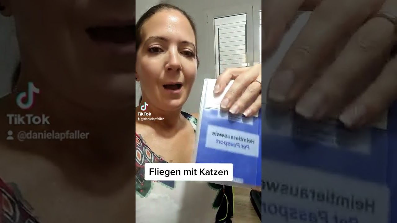 Flug buchen und fliegen mit Katzen. was braucht man daf&uuml;r alles genau und wie l&auml;uft das ab?