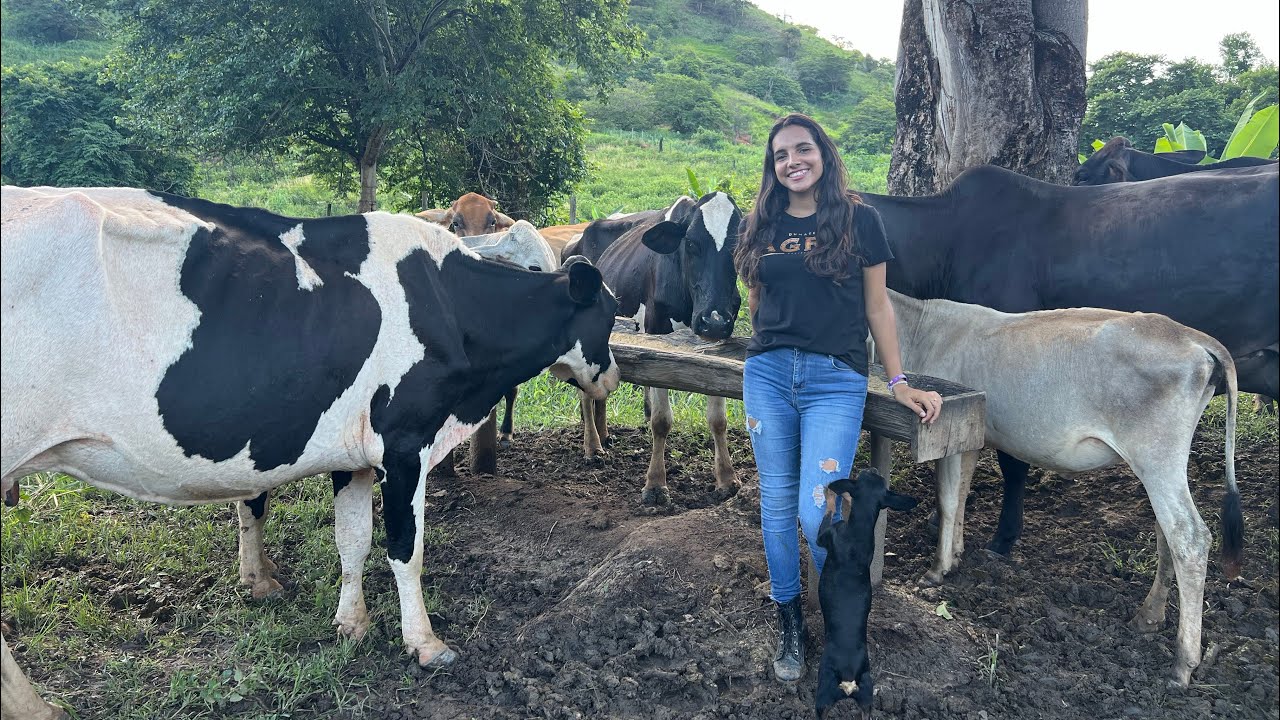 EM BUSCA DE REALIZAR MAIS UM SONHO (COMPRAR MINHA PRÓPRIA CRIAÇÃO)