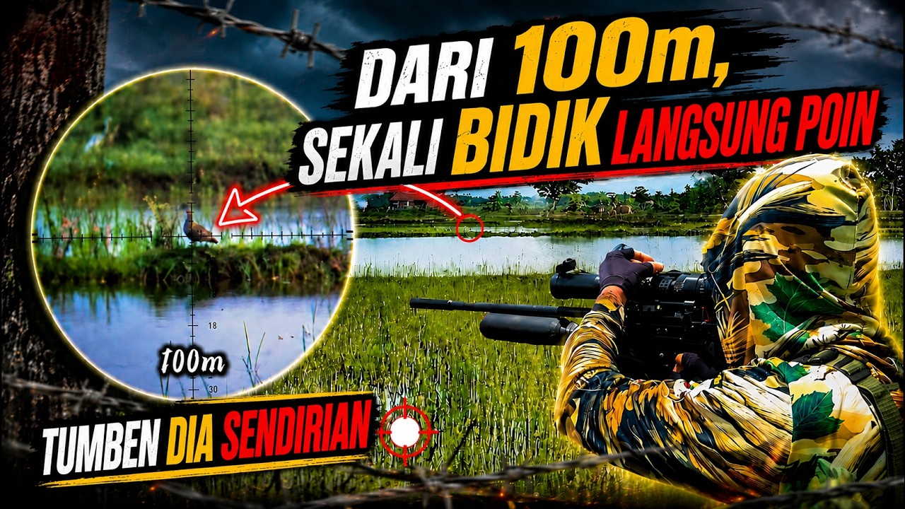 Berburu Belibis: Mantau dari Pinggir jalan