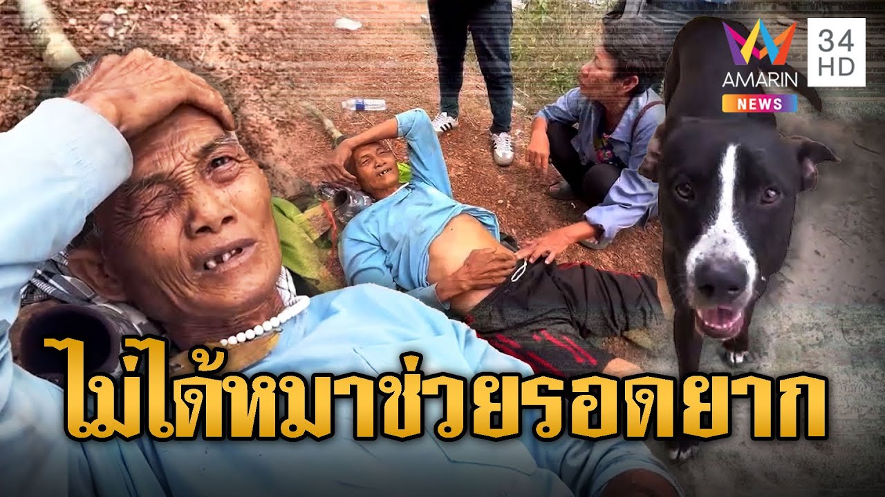 ลุงถูกกระทิงขวิด หนีหลงป่ารอดได้เพราะหมาช่วย | ข่าวอรุณอมรินทร์ | 4/4/68