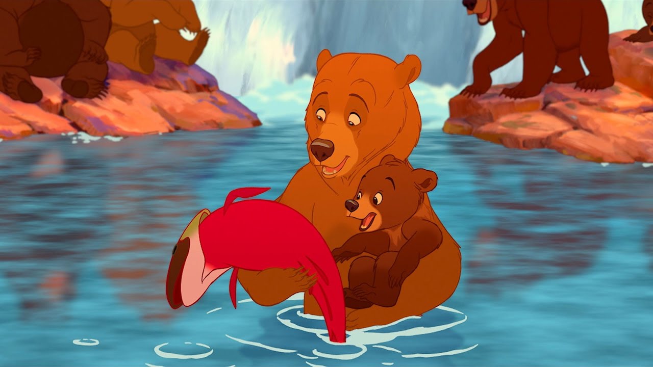 Irm&atilde;o Urso - Bem-Vindo