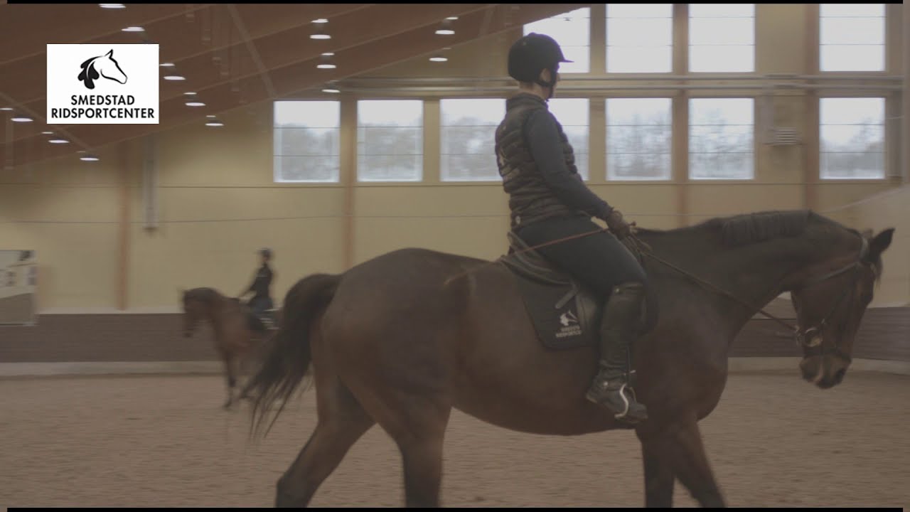 Ridclinic- Ridlärarna rider Smedstad Ridsportcenters hästar.