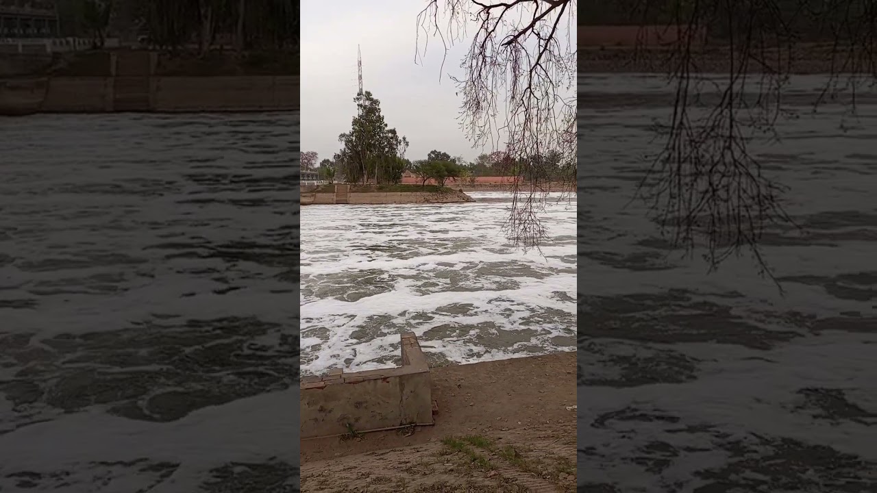canal view head baloki, ravi river#ytshort#viral #ytshorts #shortvideo  #viralvideo #shorts