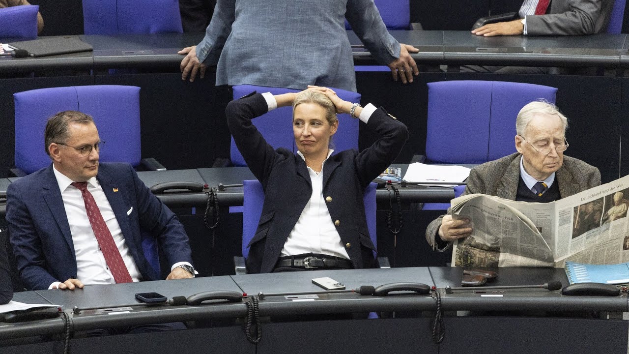 Germany cannot prove the AfD wants to ‘overthrow democracy’