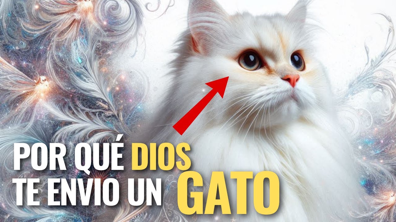 La ESPIRITUALIDAD de los Gatos  ¿Por Qué DIOS Te Ha BENDECIDO con su Presencia?