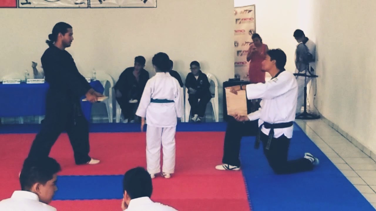 Rompiendo Tablas TAE Kwon do