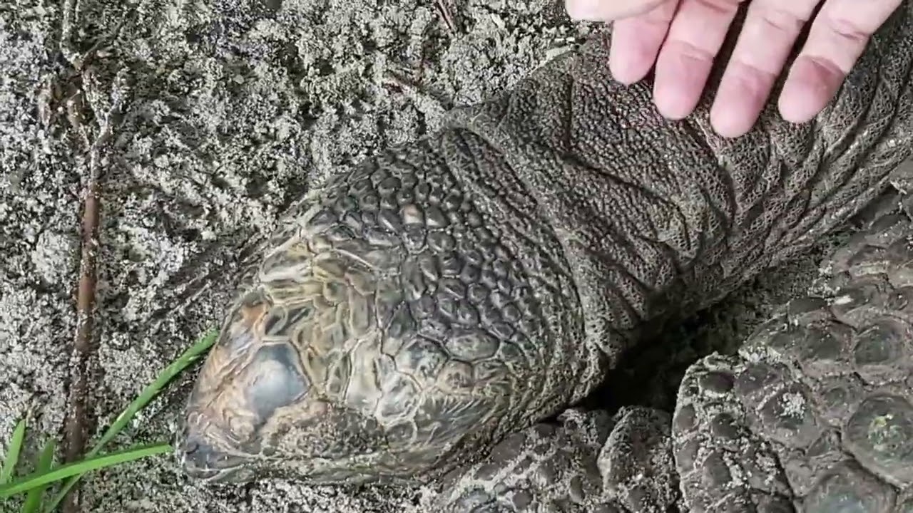ADRC:  SEYCHELLEN 10/2023  #3 LA DIGUE  VIDEO
