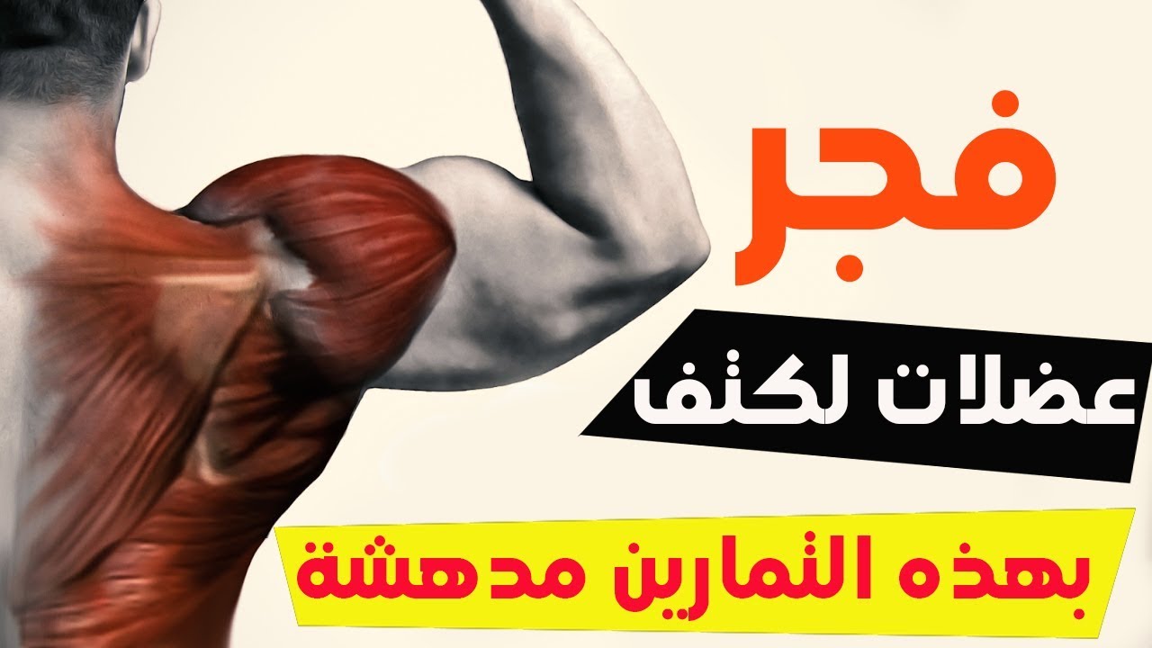 Exercises for the muscles of the shoulders  تفجير وتكوير عضلة الكتف بهذه التمارين الرائعة