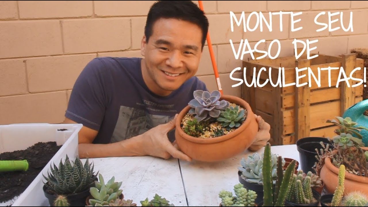 Monte o seu VASO DE SUCULENTAS sem complicação!