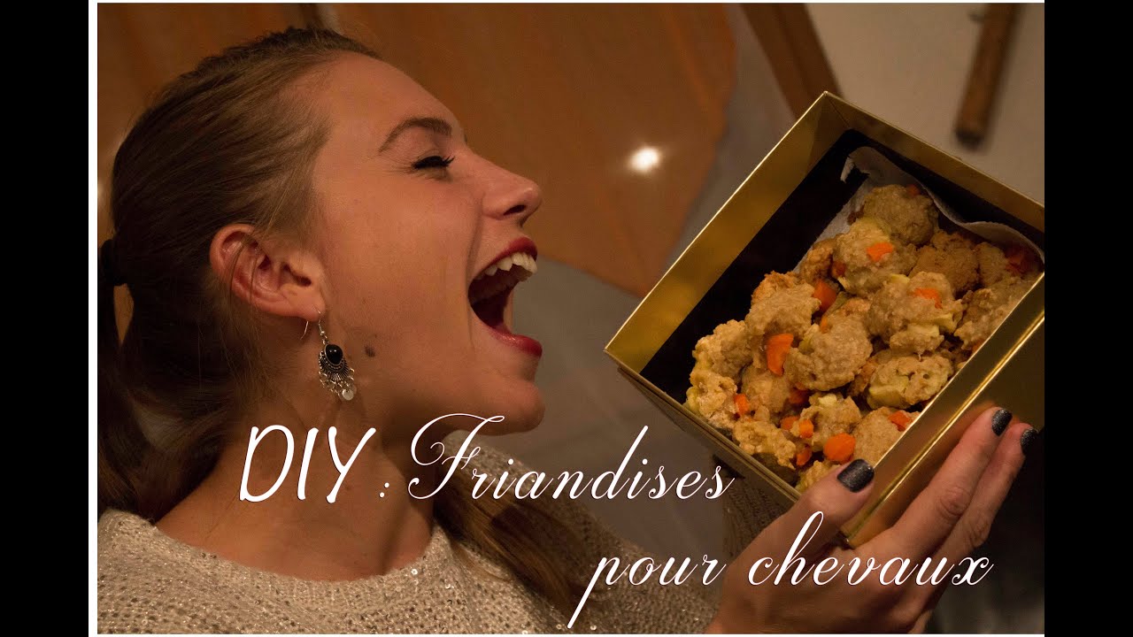 DIY DE FRIANDISES POUR CHEVAUX MAISON FACILES 🍭