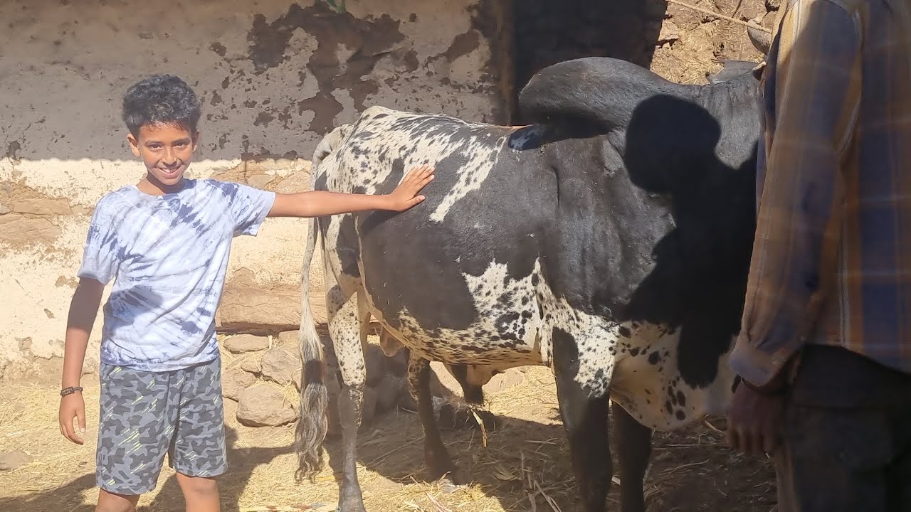 ነደቀይ ሀገረሰብ ወሲደዮም ከፍትን አድግን ከጓይዮ ውዒሎም