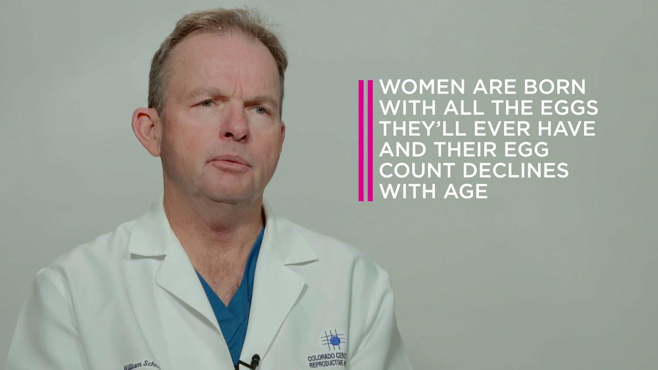 What is a Fertility Assessment? Discussing fertility Testing With Dr. William Schoolcraft