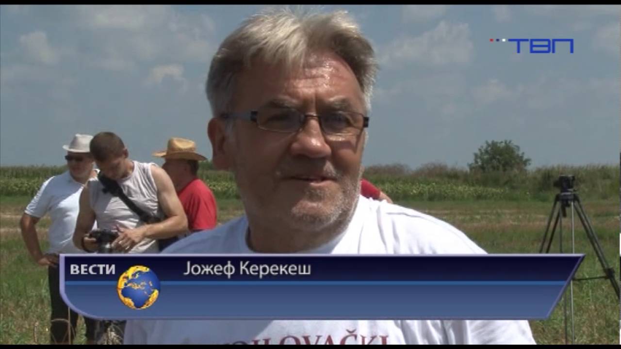 TV Pančevo - Žetva i druženje u Vojlovici
